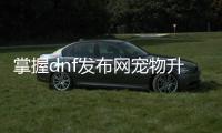 掌握dnf发布网宠物升级的秘诀