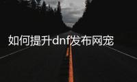 如何提升dnf发布网宠物的等级技巧