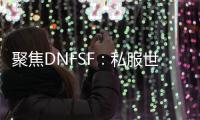 聚焦DNFSF：私服世界中的冒险与挑战