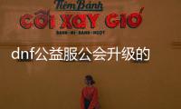 dnf公益服公会升级的步骤与技巧